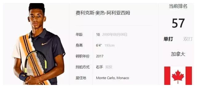 体系的重要 体系的重要