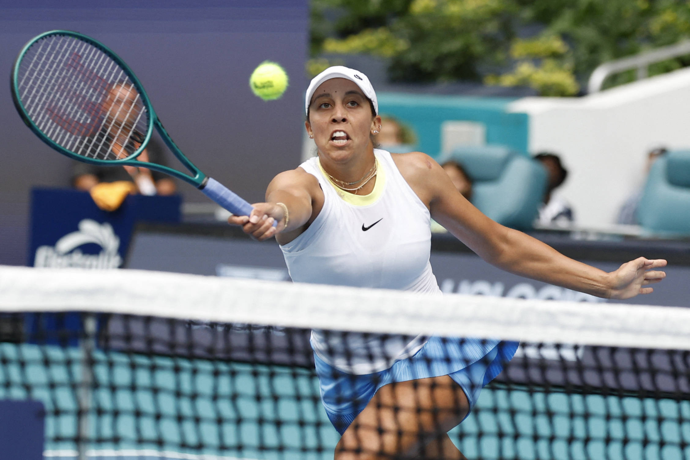 巴黎的高身 巴黎的高身