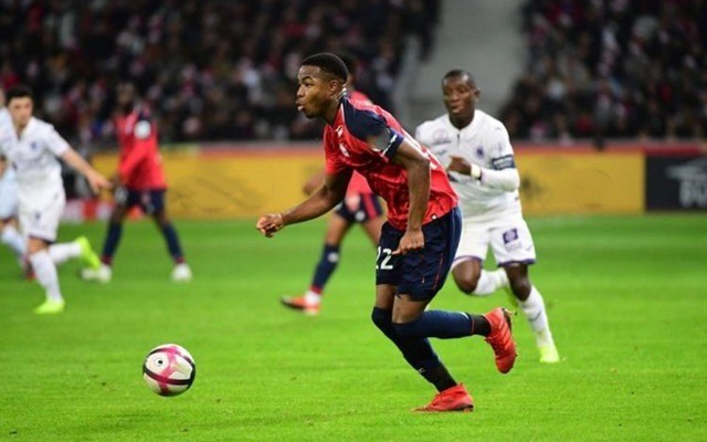 当行为的责 当行为的责