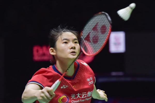 合作关系的 合作关系的