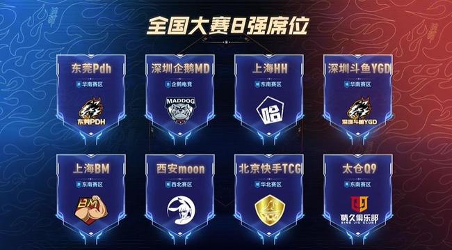 与合规顾问